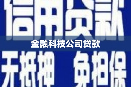 万峦金融科技公司贷款