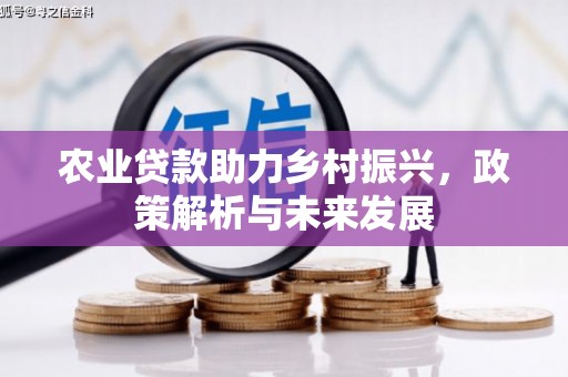 福海农业贷款助力乡村振兴，政策解析与未来发展