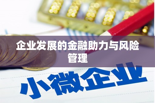 丹寨企业发展的金融助力与风险管理