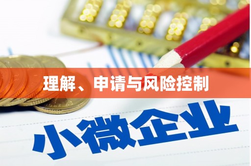 定襄理解、申请与风险控制